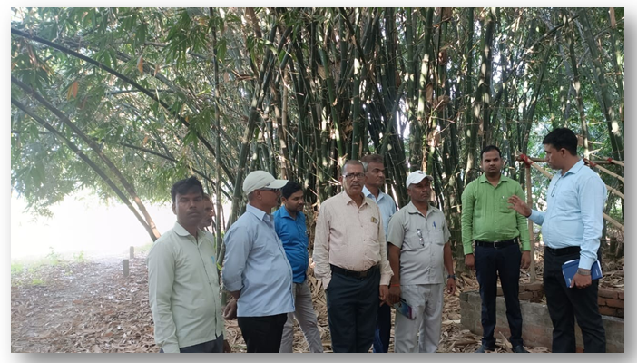 HE-MAA Trust Team